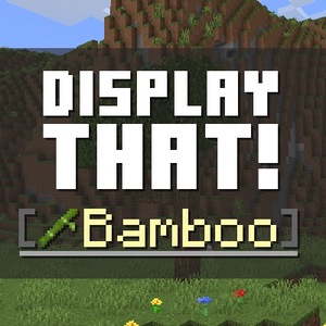 Мод Display That! для Minecraft 1.21.1