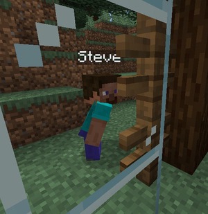 Мод Realistic Nametag для Minecraft 1.20.1
