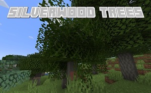 Мод Silverwood Trees для Minecraft 1.21.1 - 1.19.4