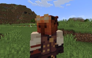 Мод AFK Camera для Minecraft 1.21.5