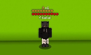 Мод VitalStats для Minecraft 1.21.1, 1.21, 1.20.6,  ...