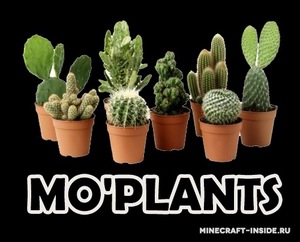 Мод Mo'plants для Minecraft 1.12.2