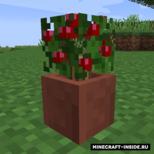 Мод Potted Bushes для Minecraft 1.14.4