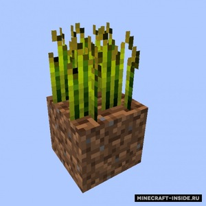 Мод Reap для Minecraft 1.21.1, 1.21, 1.20.6,  ...