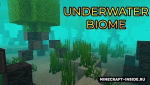 Мод Underwater Biome для Minecraft 1.15.1, 1.14.4