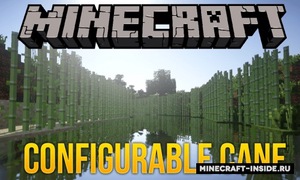 Мод Configurable Cane для Minecraft 1.21, 1.20.6, 1.20.4,  ...