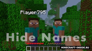 Мод Hide Names для Minecraft 1.12.2, 1.12, 1.11.2,  ...