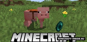 Мод Mounted Pearl для Minecraft 1.20.1, 1.19.4, 1.19.2,  ...