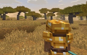 Мод 3rd Person Camera для Minecraft 1.21.1 fabric