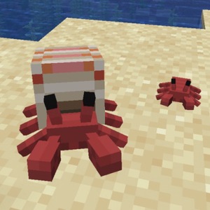Мод Cute Hermit Crabs для Minecraft 1.19.2, 1.18.2, 1.16.5