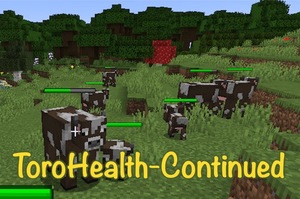 Мод ToroHealth-Continued для Minecraft 1.21.11, 1.21.10, 1.21.9,  ...