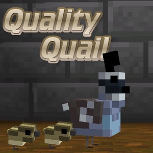 Мод Quality Quails для Minecraft 1.16.5 - 1.16