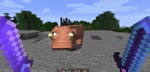 Мод Spoorn Dual Wield для Minecraft 1.20.1, 1.20, 1.19.3,  ...