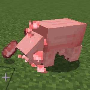 Мод HungryPigs для Minecraft 1.19.2, 1.18.2