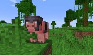 Мод ArmouredAnimals для Minecraft 1.19.2, 1.18.2