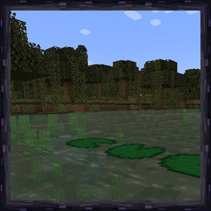 Мод Through the lily pads, gently для Minecraft 1.21, 1.20.6, 1.20.4,  ...