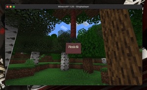 Мод Flash для Minecraft 1.21, 1.20.6, 1.20.5,  ...