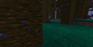 Мод The lost cave для Minecraft 1.20.1