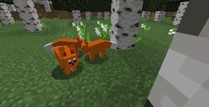 Мод Pseudorygium для Minecraft 1.20.1