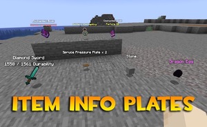 Мод Item Info Plates для Minecraft 1.19.4 - 1.19.3