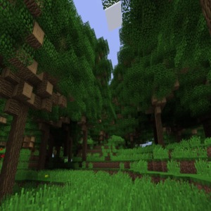 Мод Dense Forest Biome для Minecraft 1.12.2