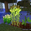 Мод Complex Crops для Minecraft 1.12.2, 1.7.10