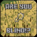 Мод Are You Blind!? для Minecraft 1.19.2, 1.19.1, 1.19,  ...