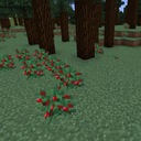 Мод Vanilla+ Biomes для Minecraft 1.17, 1.16.5, 1.16.4,  ...