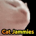 Мод Cat Jammies для Minecraft 1.21, 1.20.1, 1.19.4,  ...