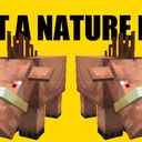 Мод Just A Nature для Minecraft 1.16.5 - 1.16.4