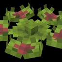 Мод Broglis Plants для Minecraft 1.20.1, 1.19.2, 1.18.2