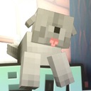 Мод Polly's Pets для Minecraft 1.20.1, 1.19.4