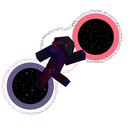 Мод PortalUp - новые измерения для Minecraft 1.16.5