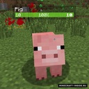 Мод Neat для Minecraft 1.21.1, 1.21, 1.20.1,  ...