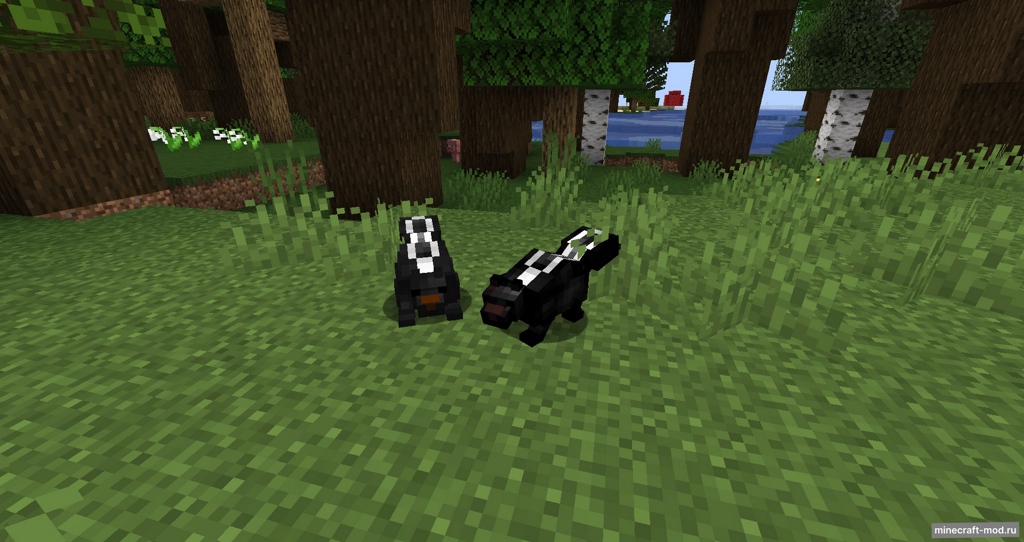 Мод Colds: Skunks для Minecraft 1.16.5 - 1.16.4