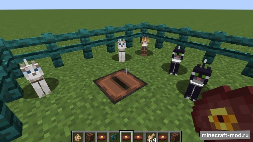 Мод Cat Jammies для Minecraft 1.21, 1.20.1, 1.19.4,  ...