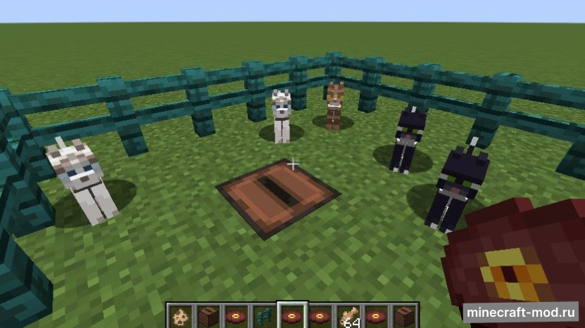 Мод Cat Jammies для Minecraft 1.21, 1.20.1, 1.19.4,  ...