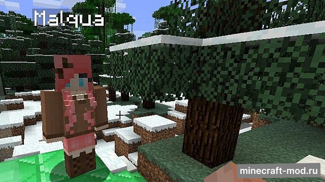 Мод iPixeli's Gender для Minecraft 1.18.2, 1.18.1, 1.17.1,  ...