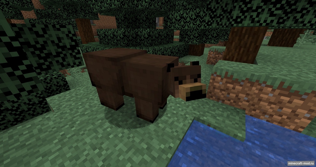 Мод Grizzly bear для Minecraft 1.20.1, 1.20, 1.19.4,  ...