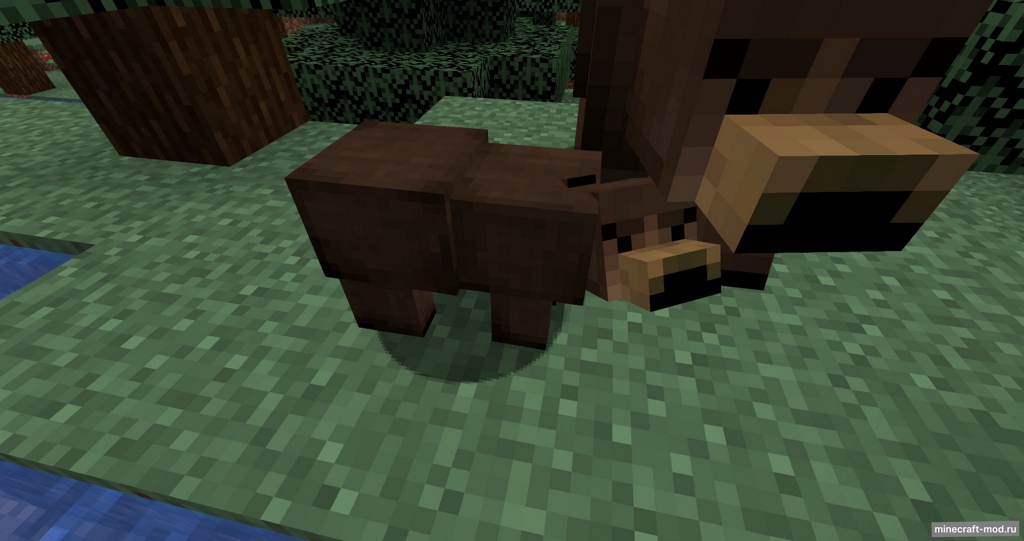Мод Grizzly bear для Minecraft 1.20.1, 1.20, 1.19.4,  ...