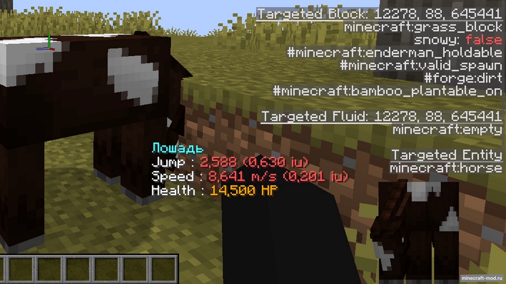 Мод Horse Debug Info для Minecraft 1.19, 1.18, 1.17.1,  ...