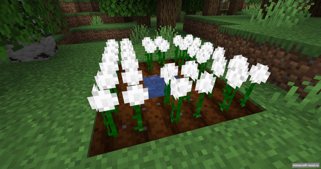 Мод Cottonly для Minecraft 1.21, 1.20.4, 1.19.3,  ...