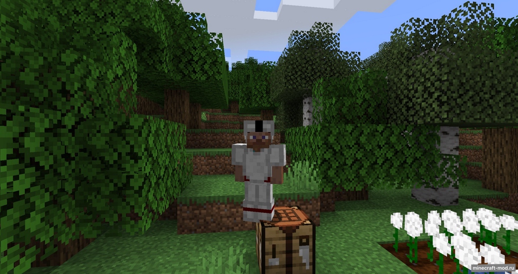 Мод Cottonly для Minecraft 1.21, 1.20.4, 1.19.3,  ...