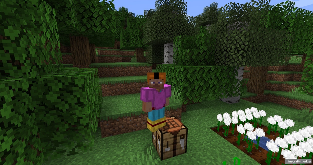 Мод Cottonly для Minecraft 1.21, 1.20.4, 1.19.3,  ...