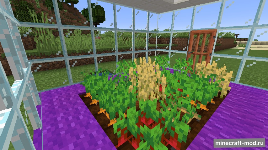 Мод Pane In The Glass для Minecraft 1.19.2, 1.19.1, 1.18.2,  ...