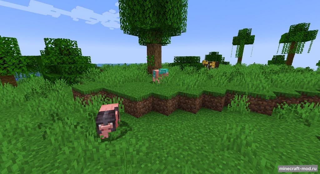 Мод ArmouredAnimals для Minecraft 1.19.2, 1.18.2