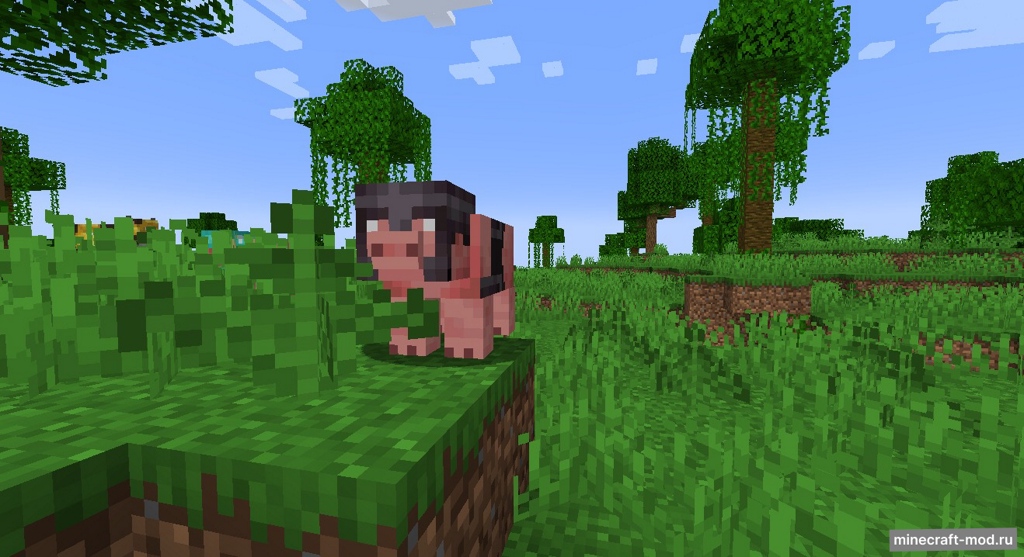 Мод ArmouredAnimals для Minecraft 1.19.2, 1.18.2