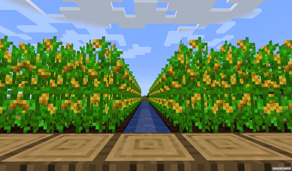 Мод Corn Delight для Minecraft 1.21.1, 1.20.1, 1.19.2,  ...