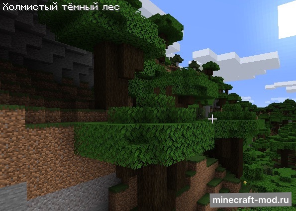 Мод BiomeInfo для Minecraft 1.21.1, 1.21, 1.20.6,  ...