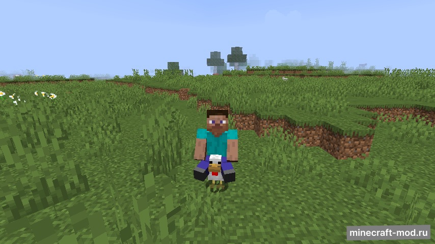 Мод Easy Rider для Minecraft 1.16.5, 1.16.4